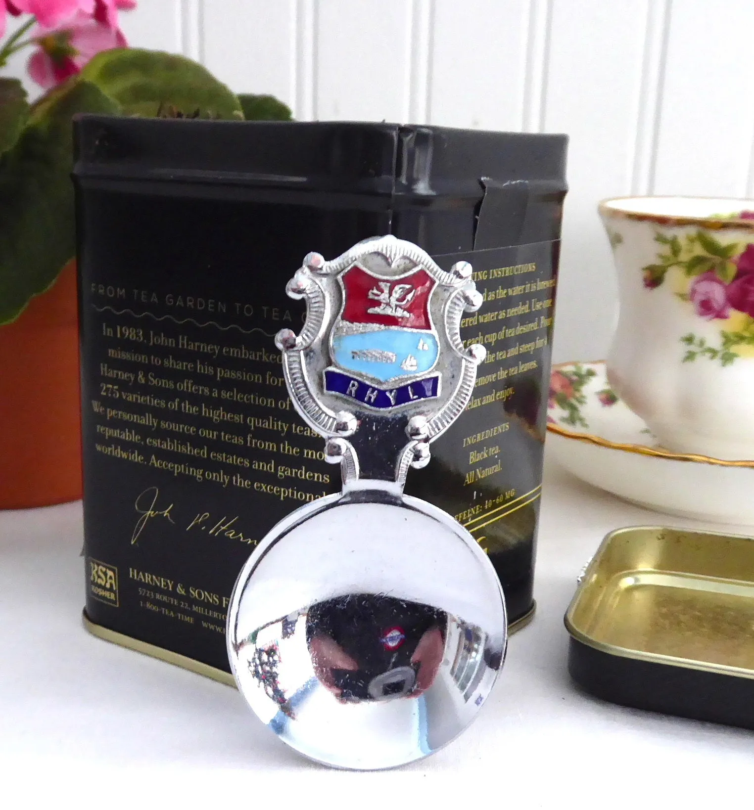 Tea Caddy Spoon Rhyl Tea Scoop Souvenir Teabag Caddy 1930s Enamel Finial